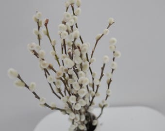 Dried Pussywillow Branches，20 Stems Real Pussy Willow Branches, Home Decor