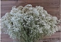 Preserved Baby's Breath Bouquet: Wedding Table Decoration, Home Decor (16-18 inches)