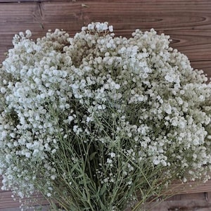 Preserved Baby's Breath Bouquet: Wedding Table Decoration, Home Decor (16-18 inches)
