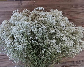 Preserved Baby's Breath Bouquet: Wedding Table Decoration, Home Decor (16-18 inches)