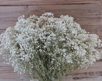 Preserved Baby's Breath Dried Gypsophilia Bouquet Wedding Centerpieces (16-18 inches)