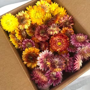 Puede incluir: Una caja de cartón llena de una colección de flores de paja secas en varios tonos de amarillo, naranja, rojo y rosa. Las flores están densamente empaquetadas, mostrando sus pétalos superpuestos y formas circulares en un degradado vibrante.