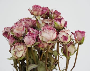 Dried Pink Roses, Natural Light Elegant Style Home Decoration, Bouquet Making