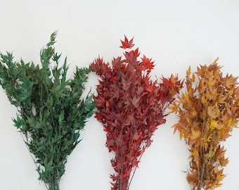 Preserved maple leaves, dried flowers for home decoration, wedding bouquets
