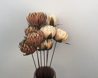 Dried Protea Stems – Perfect for Wedding Florals and Home Styling.