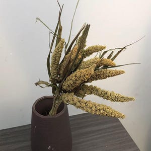 May include: A bundle of dried millet stalks with textured, light tan grain heads and long, thin, dark brown leaves arranged in a dark brown, cylindrical ceramic vase with a smooth, matte finish and a slightly tapered, rounded base.