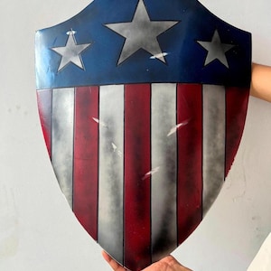 Op de afbeelding: Een schild met een blauw bovenstuk met drie witte sterren. Het schild heeft rode en witte verticale strepen op het onderste gedeelte. Het schild wordt door een persoon vastgehouden.