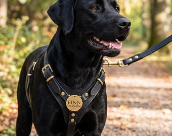 Individuell graviertes Hundegeschirr- und Leinen-Set aus Leder, robuste schwarze Haustierweste