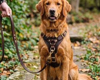 Dunkelbraunes Leder-Hundegeschirr mit Leine | Hochwertig gepolstertes Vollnarbenleder-Geschirr | Individuell verstellbares Geschirr-Set mit Messingschnalle für Hunde