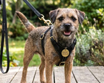 Schwarzes Leder Hundegeschirr und Leine Set, individuell gravierte ID-Marke, Welpen Geschirr