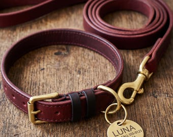 Hundehalsband und Leine aus Leder, personalisierter Hundeanhänger aus Messing