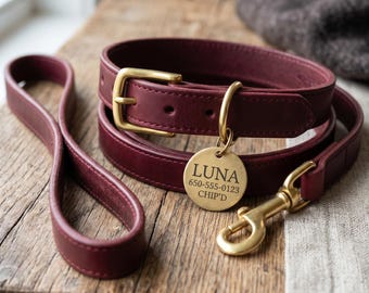 Hundehalsband und Leine aus Leder Set in Kastanienbraun mit Messing ID Marke