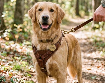 Handgefertigtes Hundegeschirr aus braunem Leder