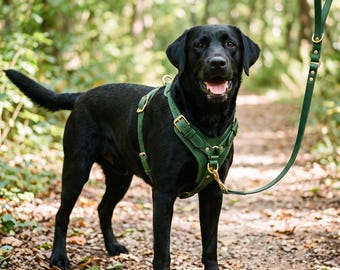 Green Cowhide Leather Dog Harness and Leash Set, Adjustable Brass Hardware, Handcrafted Pet Gear