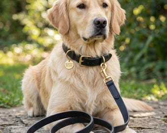 Schwarzes Leder Hundehalsband und Leine Set mit Custom Messing ID Tag