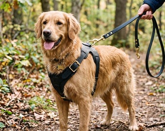 Black Leather Dog Harness Leash Set, Genuine Cowhide Pet Vest, Adjustable Medium Large Dogs