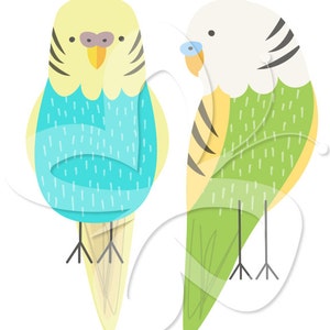 Budgie Digital Clip Art Clipart Set Personal and Commercial Use image 2