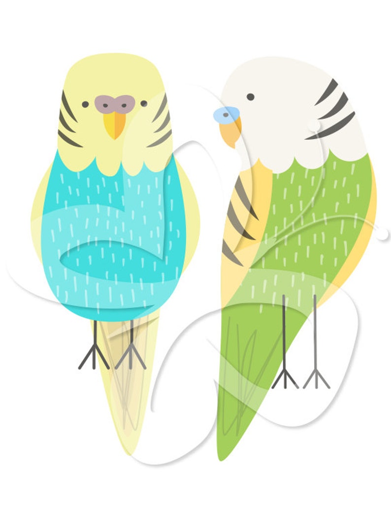 Budgie Digital Clip Art Clipart Set Personal and Commercial Use image 2