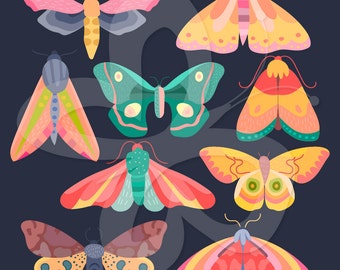 Colourful Moth Moths Clip Art Clipart Set - Personal and Commercial Use