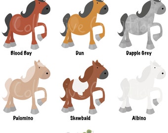 Horse Color Chart Digital Clip Art Set - Clipart for Personal & Commercial Use