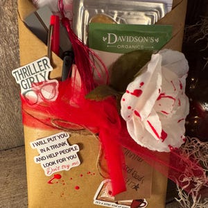 Blind Date with a Book- Cozy Book Lover Gift-Mystery Wrapped Book-Reader Self Care Box-Bookish Gift