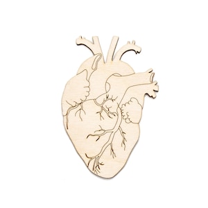 Anatomisches Herz-Holz Ausschnitt-Herz Dekor-Wählen Sie eine Größe-DIY Handwerk-Medizinische Dekor-Krankenschwester Holz Akzente Dekor-Herzen-Medizinische Herz Dekor