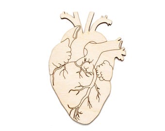 Anatomical Heart-Wood Cutout-Heart Decor-Choose A Size-DIY Crafts-Medical Decor-Nurse Wood Accents Decor-Hearts-Medical Heart Decor