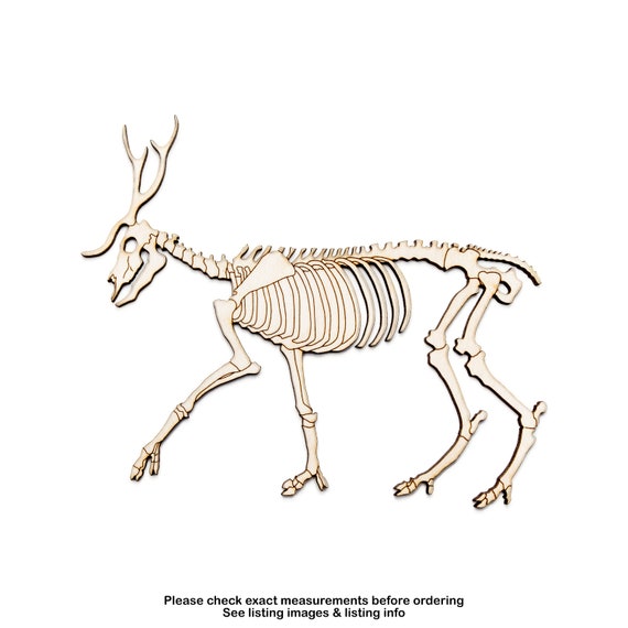 Deer Skeleton Detail Wood Cutout Animal Bones Spooky Skeleton Etsy