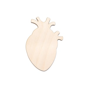Anatomical Heart-Blank Wood Cutout-Realistic Heart Shape-Wood Heart Decor-Various Sizes-DIY Crafts-Wood Body Pieces-Anatomy Wood Decor