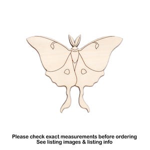 Luna Moth Detail Wood Cutout-Moths And Butterflies Decor-Various Sizes-DIY Crafts-Bugs And Insects-Entomologist Decor-Paintable-Forest Bugs