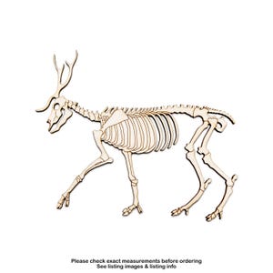 Squelette de cerf, découpe en bois, os d'animaux, décor de squelette fantasmagorique, différentes tailles, bricolage, bois brut, décoration d'Halloween, os de la faune