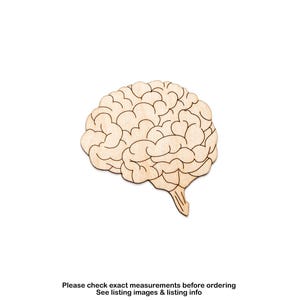 Brain-Detail Wood Cutout-Anatomical Wood Shapes-Anatomy Parts-Various Sizes-DIY Crafts-Human Brain Shape-Medical Theme Decor-Body Decor