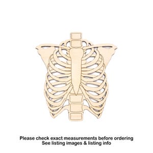 Houten uitsparing ribbenkast - lasergesneden onafgewerkte ambachtelijke vorm - meerdere maten