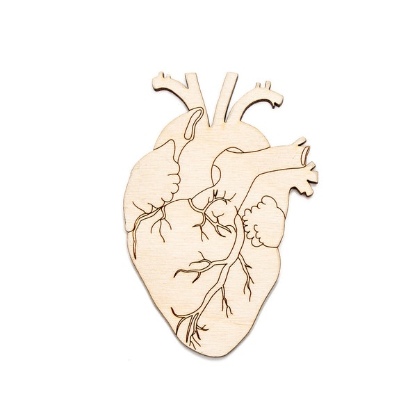 Anatomical Heart-Wood Cutout-Heart Decor-Choose A Size-DIY Crafts-Medical Decor-Nurse Wood Accents Decor-Hearts-Medical Heart Decor