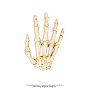 Skeletal Hands-Various Options-Various Sizes-Halloween Decor-Craft Supplies-DIY Crafts-Party Decor-Gothic Decor-Goth Party Favors-Bones