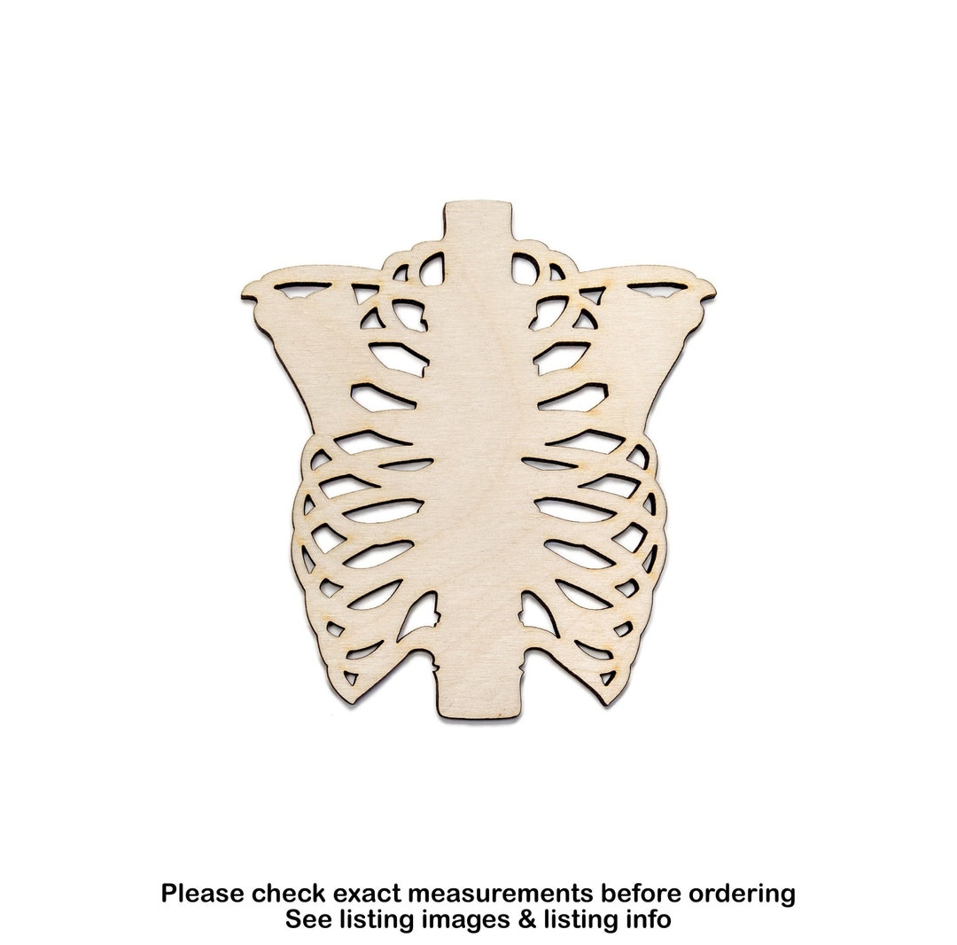 Ribcage Blank Wood Cutout-anatomical Decor-various Sizes-diy - Etsy