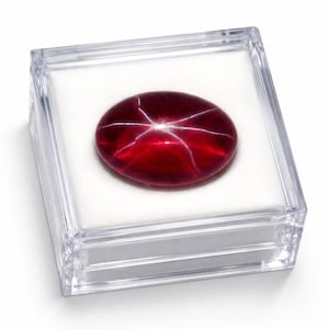 Puede incluir: Una gema pulida, de forma ovalada, de color rojo intenso, con un efecto de estrella de seis rayos, exhibida en una caja de plástico transparente con interior blanco. La superficie de la gema refleja la luz.