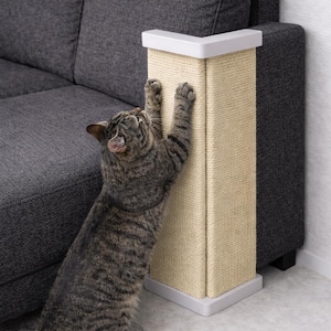 Puede incluir: Un gato atigrado ara&ntilde;a un rascador beige con ribetes blancos, colocado junto a un sof&aacute; gris. El gato se estira hacia arriba, interactuando con el poste. El poste est&aacute; dise&ntilde;ado para proteger los muebles de los ara&ntilde;azos de los gatos.