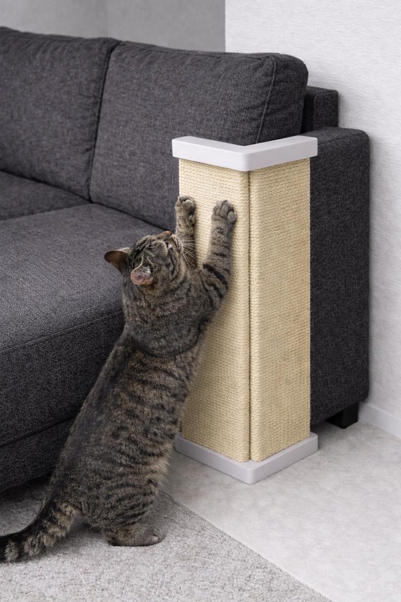 Puede incluir: Un gato atigrado ara&ntilde;a un rascador beige con ribetes blancos, colocado junto a un sof&aacute; gris. El gato se estira hacia arriba, interactuando con el poste. El poste est&aacute; dise&ntilde;ado para proteger los muebles de los ara&ntilde;azos de los gatos.