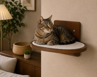 Custom Cat Wall Furniture Set, Modern Wall Mounted Shelves, Cat Steps, Macrame Hammock & Basket