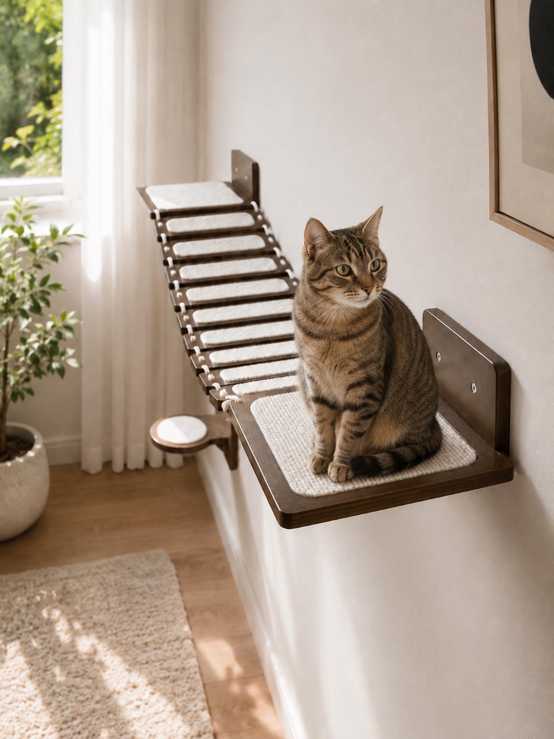 Cat Wall Bridge With Shelves, Handmade Wooden Cat Climbing Bridge, Wall ...