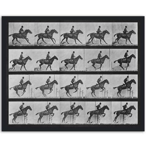 May include: A black and white photograph of a horse and rider jumping over a fence. The image is a series of 12 frames, showing the horse and rider in different positions as they jump.