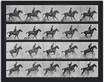From the series /エドワード マイブリッジ/ポスター エドワード・マイブリッジ スウェーデンの写真美術館が作成した