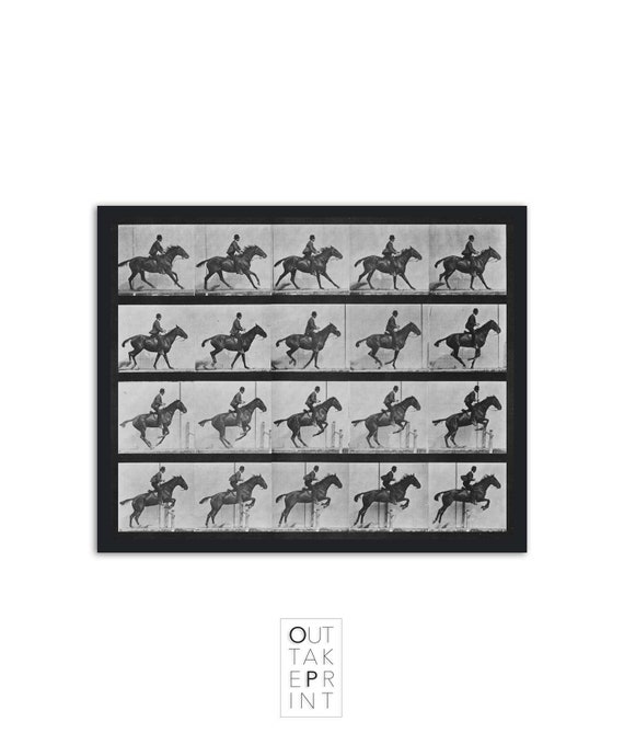 Eadweard Muybridge Horse in Motion Photography Print, Vintage