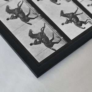 Eadweard Muybridge photography, Vintage Black & White Art Photography, Horse in Motion, Eadweard Muybridge horse in motion print image 3