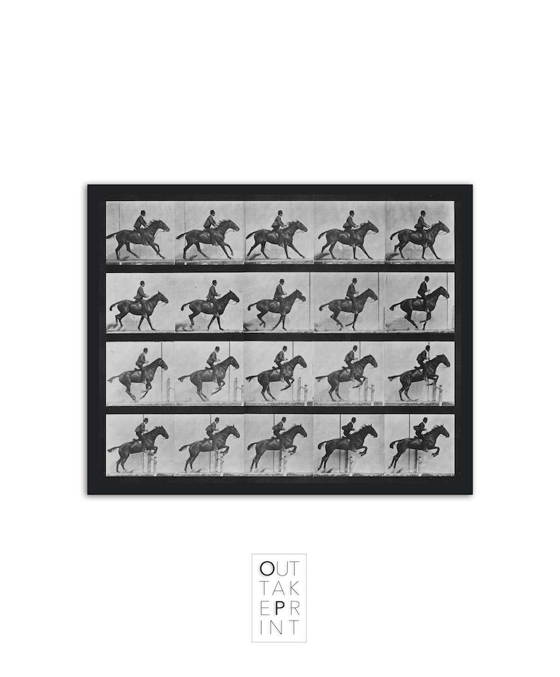 Eadweard Muybridge photography, Vintage Black & White Art Photography, Horse in Motion, Eadweard Muybridge horse in motion print image 1