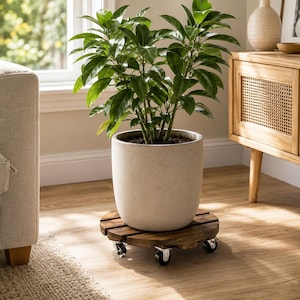 May include: A round, dark brown wooden plant caddy featuring four small, black swivel casters. A large, matte, light beige cylindrical ceramic planter sits on top of the wooden base, containing a lush green plant with broad, pointed leaves.