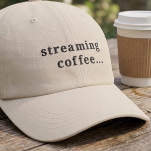 Data Pipeline Logic Hat Software Engineer Fuel Headwear System Status Embroidery Cap Backend Developer Present Technical Operation Desk Wear