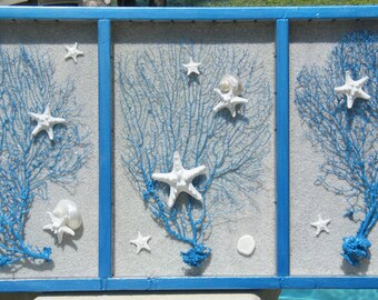 Revived Printer's Drawer with coastal theme - Seafans, Knobby Starfish, Sand, and Sand Dollars Wall Hanging