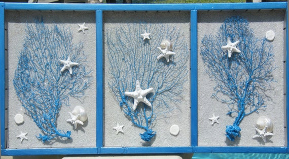 Revived Printer's Drawer with coastal theme - Seafans, Knobby Starfish, Sand, and Sand Dollars Wall Hanging
